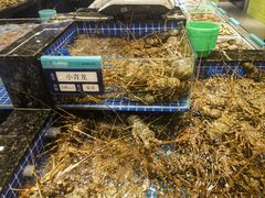 -东海怡品海鲜豆捞(舟宿夜江店)