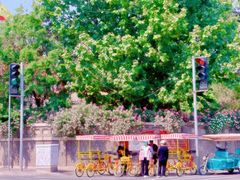 -天津五大道文化旅游区