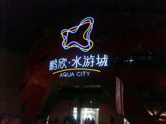 -鹏欣水游城