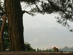 -白云山风景名胜区