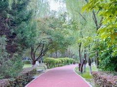 -西安汉城湖景区