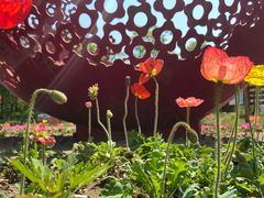 -武清南湖绿博园