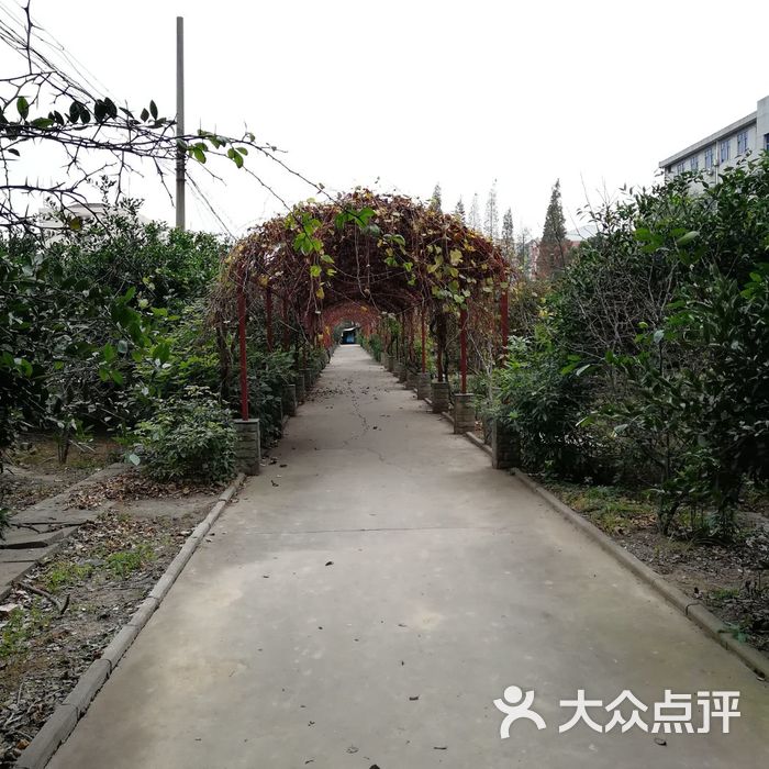 长江大学西校区图片图片