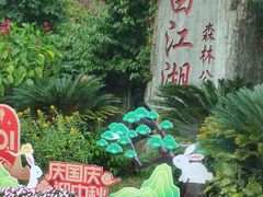 -广州白江湖森林公园