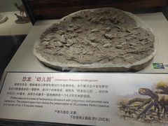 -辽宁古生物博物馆