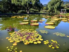 -国家植物园南园