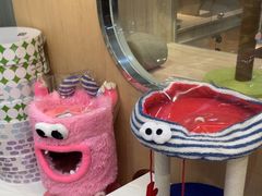 -BABIT巴比特宠物(MOMOPARK店)