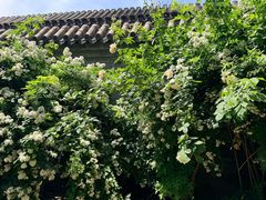 -李叔同故居纪念馆