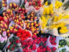 -循礼门鲜花花市(武汉循礼门店)