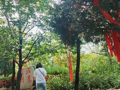 -沂蒙云瀑洞天景区