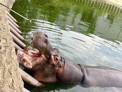 -杭州野生动物世界