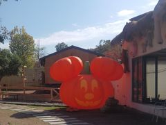 -HERRE·FARM 赫尔露营农场·团建聚会包场