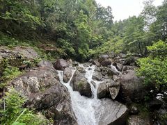-大围山国家森林公园