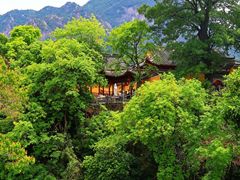 -绩溪龙川景区