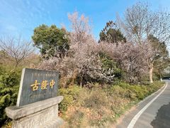 -古隆中景区