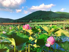 -六鼎山文化旅游区