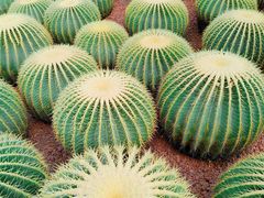 -南通洲际绿博园