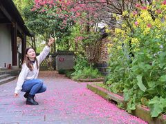 -南汇桃花村