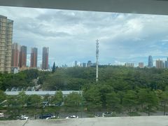 -百年果林椰子鸡(中洲店)
