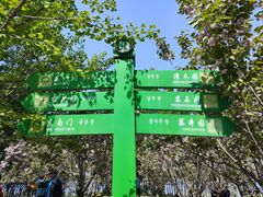 -长白岛森林公园