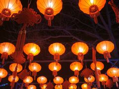 -青龙湖公园