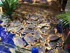 -79号渔船海鲜饭店(华强北店)