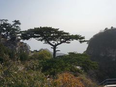 -圣莲山风景区