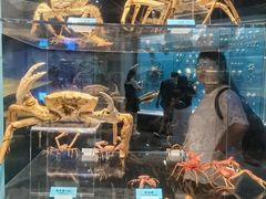 -天津自然博物馆