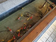 -蘭奢雅集·江浙菜(青山江滩店)