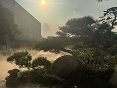 -罗红摄影艺术馆