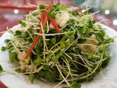 鲜桃仁香椿苗-玉华台饭庄(裕中西里小区店)