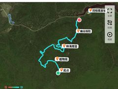 -汤旺河林海奇石景区