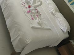 -三亚海棠湾万丽度假酒店