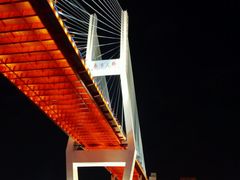 -新龙船黄浦江餐饮游船官方自营店