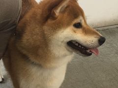 -中环5号码头