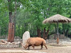 -北京野生动物园