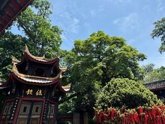 -峨眉山报国寺