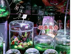 -朝来春花卉市场