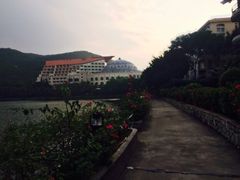 三亚凯莱仙人掌度假酒店-三亚亚龙湾凯莱仙人掌度假酒店