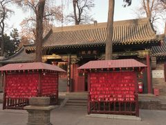 -晋祠公园
