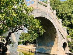 -团结湖公园
