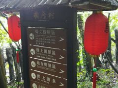 -天门沟九州驿站树上汤泉