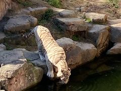-宁波野生动物园