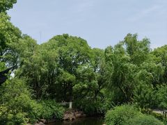-范蠡湖公园