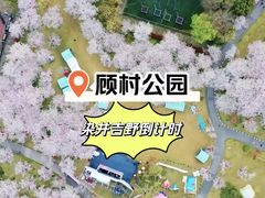 -顾村公园