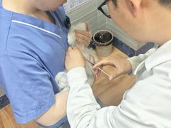 -瑞派名望志远动物医院·猫科·內科·异宠专科(直港大道店)