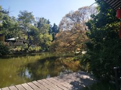 -江心屿景区
