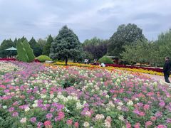 -石家庄市植物园