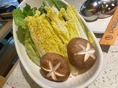 -顺德公广东猪肚鸡·煲仔饭(白石洲店)