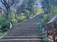 -杭州半山国家森林公园